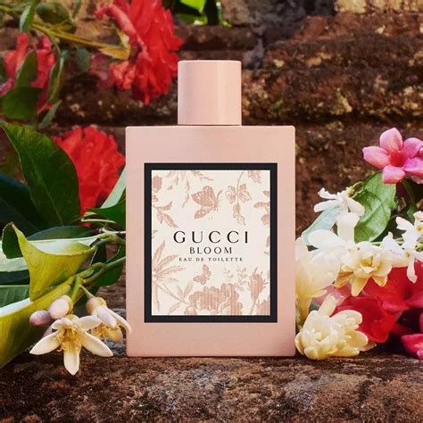 gucci bloom scent